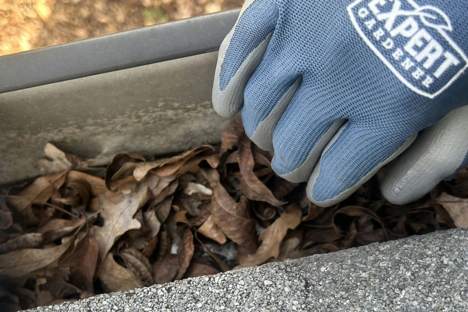 Lakway TX Gutter Cleaning