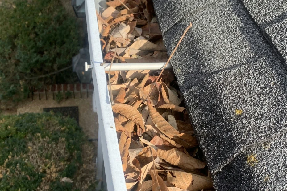 Lakway TX Gutter Cleaning