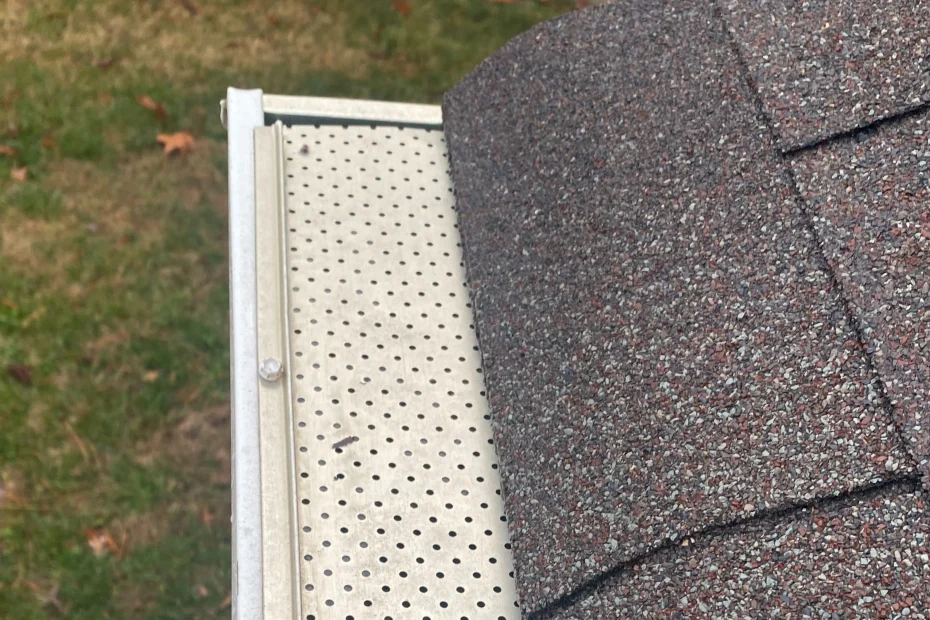 Lakway TX Gutter Cleaning